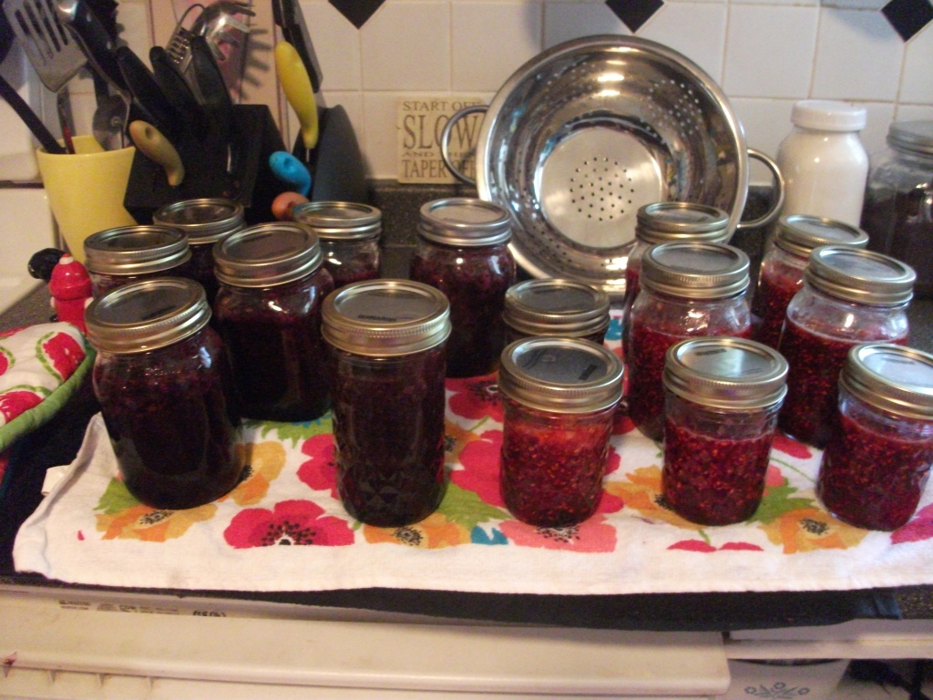 Blueberry and Raspberry Jams